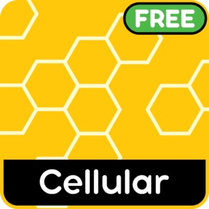 Animated hexagonal patterns with flowing colour transitions and layered depth.